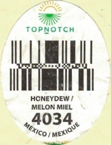 Topnotch honeydew melon miel 4034 mexico mexique