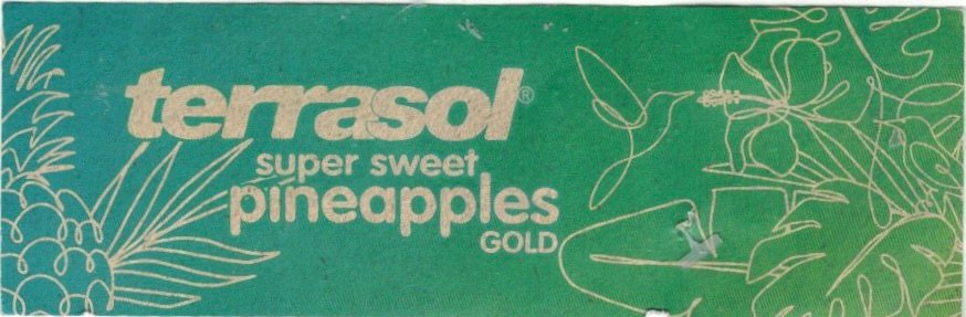 Terrasol super sweet pineapples gold lidl 20586393 product of ecuador 8