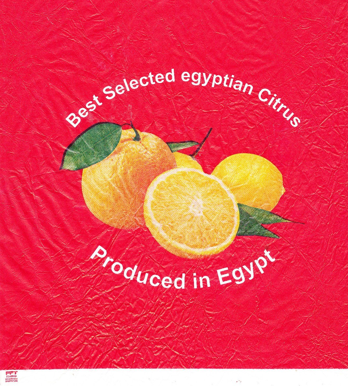 best selected egyptian citrus produced in egypt