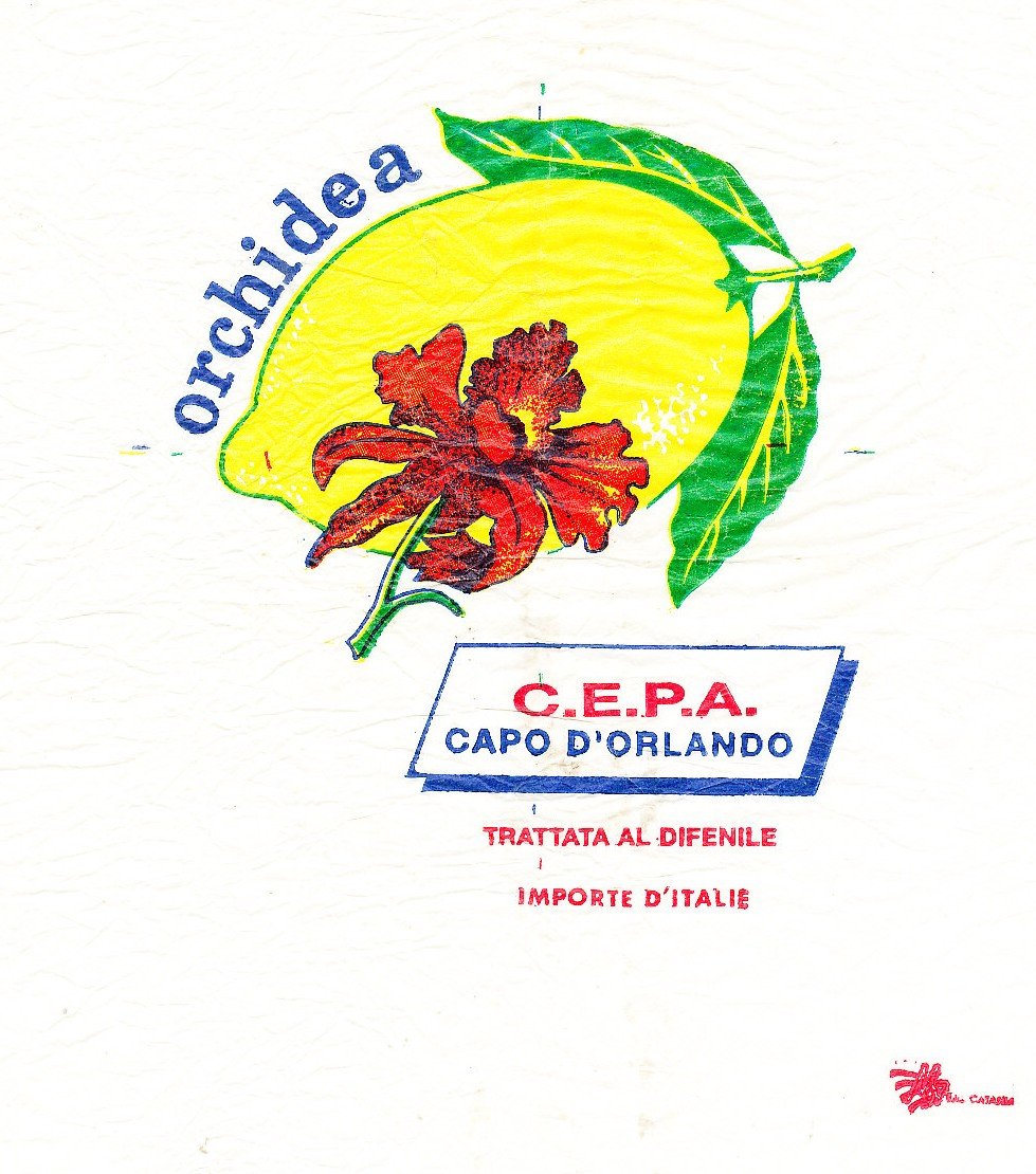 Orchidea c.e.p.a. capo d orlando  trattata al difenile importe d italie
