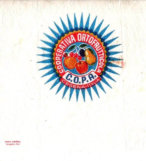 c.o.p.a. cooperativa ortofrutticola