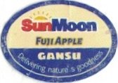 Sun Moon fuji apple gansu delivering nature s goodness