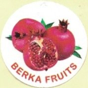Berka Fruits