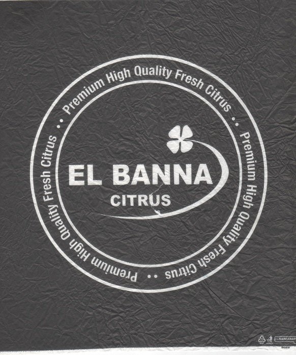 El banna citrus premium high quality fresh citrus