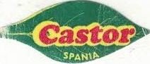 Castor spania