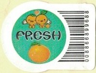 Fresh 008866899688