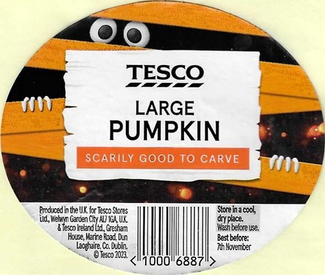 tesco large pumpkin scarily good to carve produced in the uk 10006887