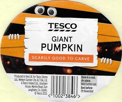 tesco giant pumpkin scarily good to carve produced in the uk 10023846