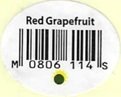 red grapefruit m0806114s