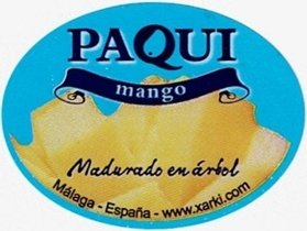 Paqui mango madurado en arbol malaga espana www.xarki.com