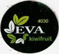 Eva kiwifruit 4030