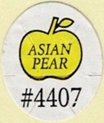 Asian pear #4407