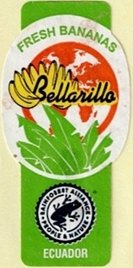 Bellarillo fresh bananas rainforest alliance people & nature ecuador