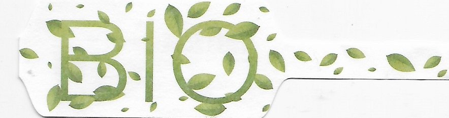 Bio clementine origine espagne 8437017382089