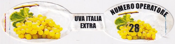 Uva italia extra numero operatore 28