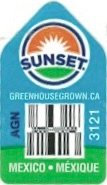 Sunset greenhousegrown.ca agn 3123 mexico mexique