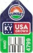 Sunset ky usa grown mmo 4799