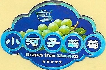 Grapes from xlachezi