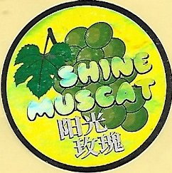 Shine muscat