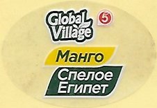 Global village 5