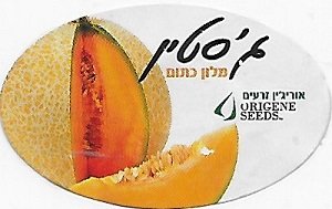 Origene seeds