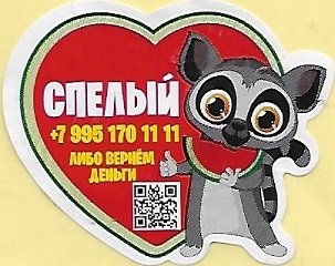 7 995 170 11 11