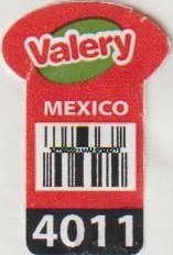 valery mexico 4011
