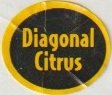 diagonal citrus