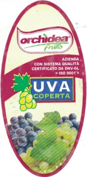 Uva coperta orchidea frutta rutigliano azienda con sistema qualita certificato da dnv uni en iso 9001