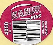 Kandy plus 4050 usa cantaloup