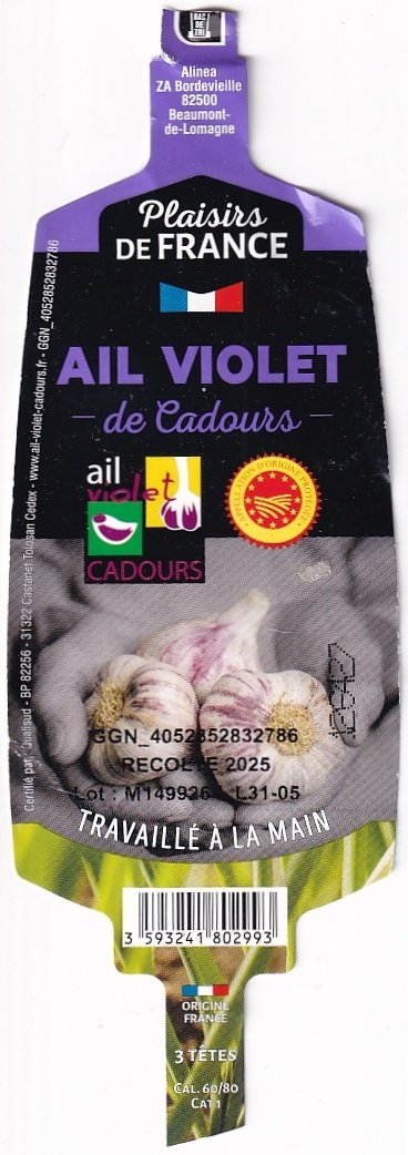Plaisirs de france ail violet de cadours