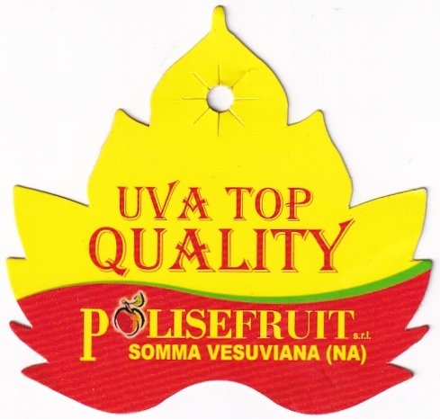 uva top quality polisefruit somma vesuviana (na)
