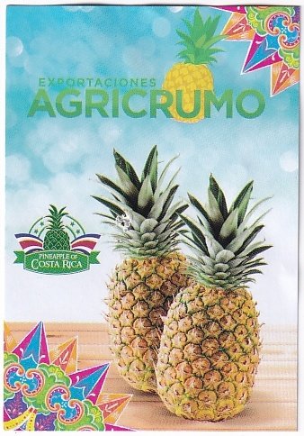 Agricumo exportaciones 7443038660007 jordycruz@agricrumo.com costa rica
