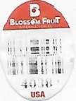 B blossom fruit 4038 usa