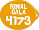 royal gala 4173