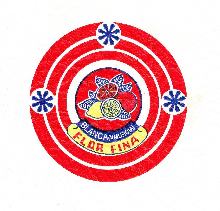 flor fina blanca (murcia)