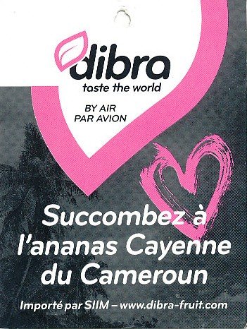 Dibra taste the world by air par avion succombez a l ananas Cayenne du Cameroun importe par siim www.dibra-fruit.com 3760042971054 >