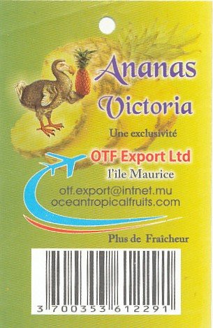 ananas victoria otf export ltd l ile maurice plus de fraicheur 3700353612291