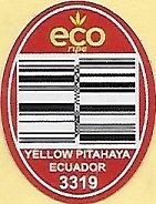 Eco ripe yellow pitahaya ecuador 3319