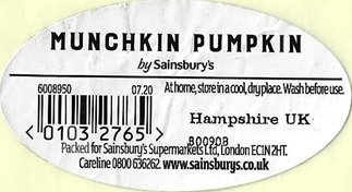 munchkin pumpkin by sainsbury s 01032765