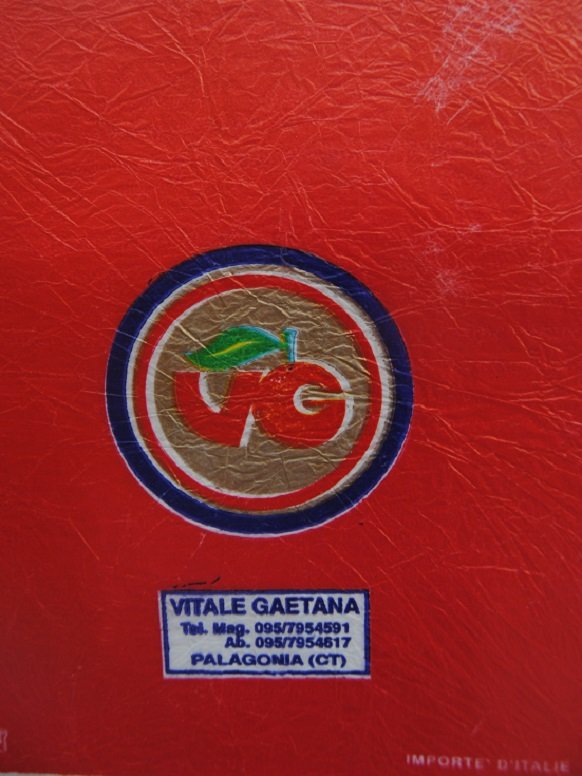 vg vitale gaetana palagonia (CT) importe d italie
