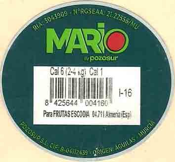 mario by pozosur cal 6 8425644004160