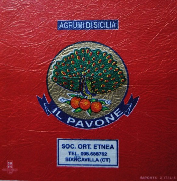 Il pavone agrumi di sicilia soc. ort. etnea biancavilla ct importe d italie