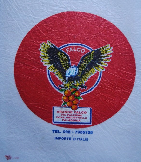 falco arance falco palagonia importe d italie