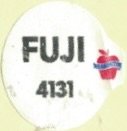 Washington fuji 4131