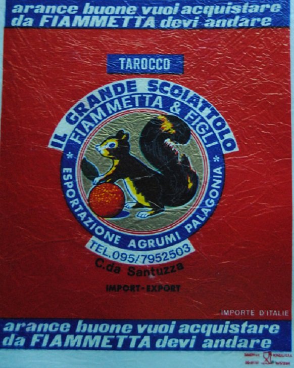 tarocco Il grande scoiattolo fiammetta & figli esportazione agrumi palagonia importe d italie