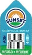 Sunset greenhousegrown.ca agn 4689 mexico mexique