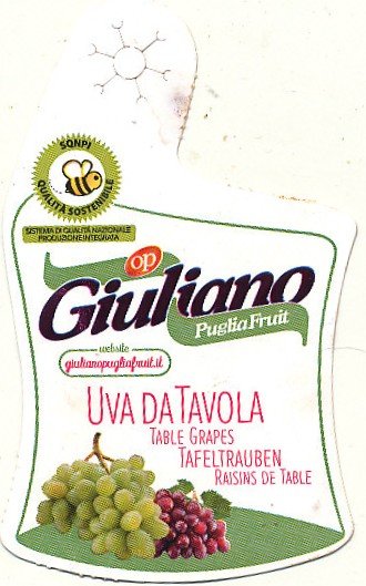 Giuliano puglia fruit uva da tavola giulianopugliafruit.it