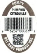 Bay Baby Produce bumpy pumpkin citrouille 816237000832