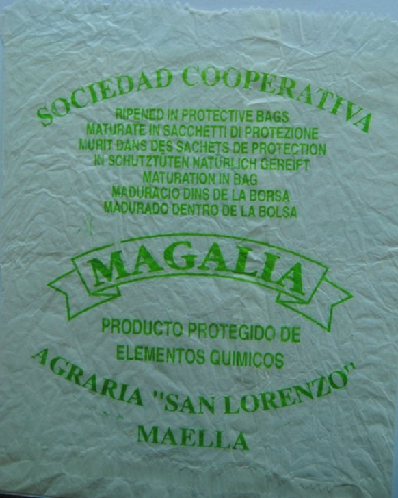 magalia sociedad cooperativa agraria san lorenzo maella